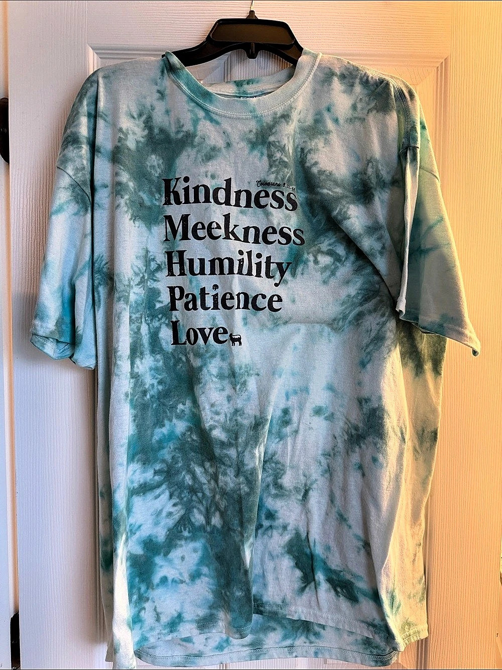 Tie-Dye Graphic Tee in Blue & White Like New